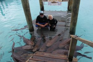'Duncan and Jillian educate Erica about sharks'